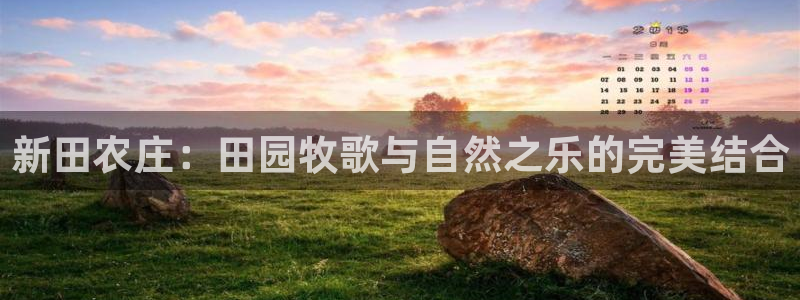 天辰娱乐 . 鱼刺