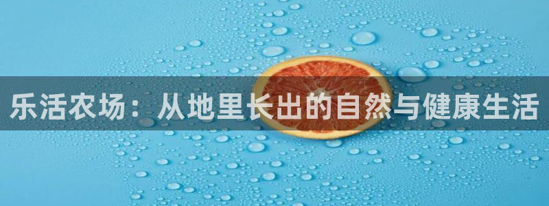 广东天辰娱乐