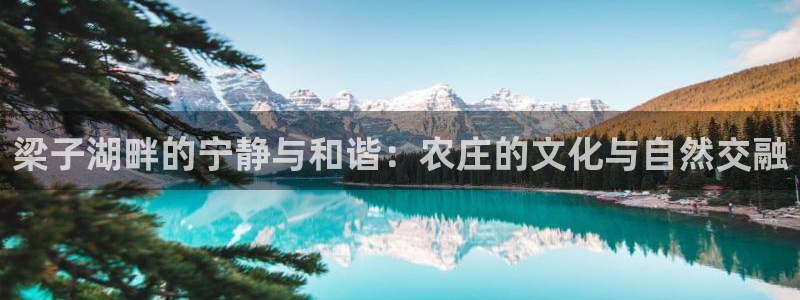 天辰娱乐咋样