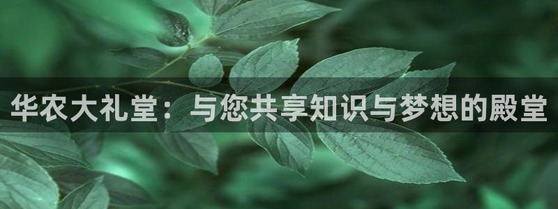 天辰娱乐官方
