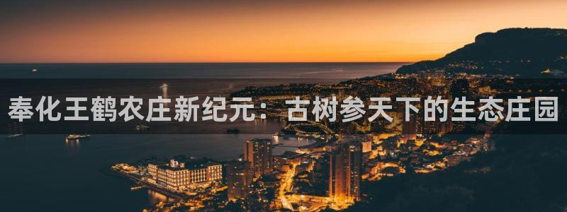 天辰娱乐平台入口