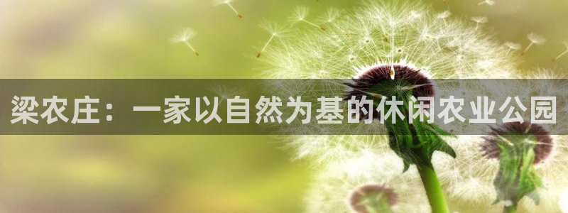 天辰娱乐内部