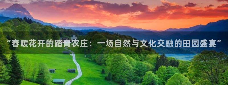 天辰娱乐输了