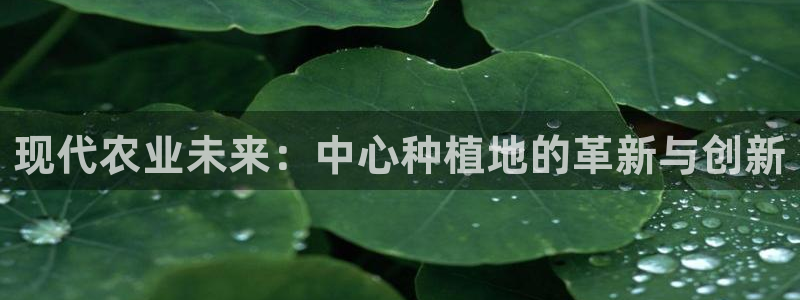 天辰娱乐海洋