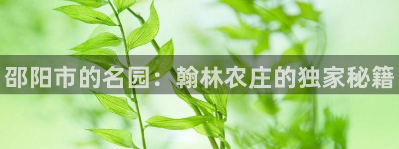 天辰娱乐游戏平台怎么样