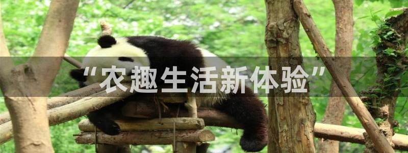 天辰娱乐解封