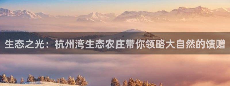 天辰宝宝娱乐