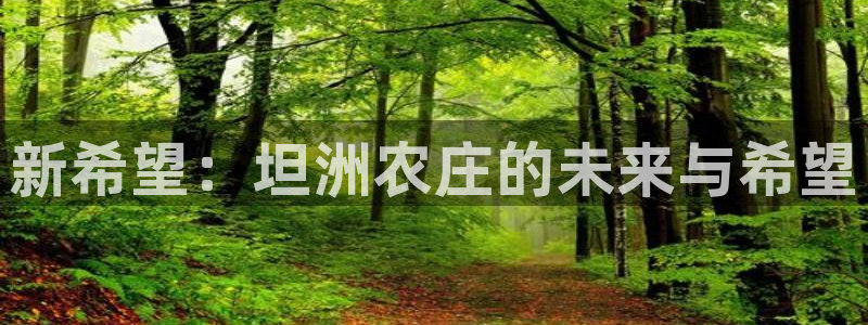 天辰娱乐指定