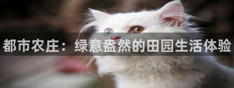 天辰娱乐软件