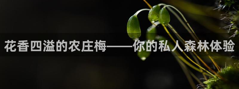 天辰娱乐平台app下载