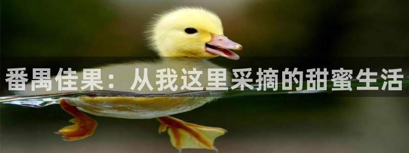 天辰娱乐娱乐