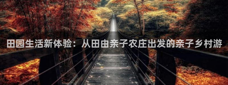 天辰娱乐上级