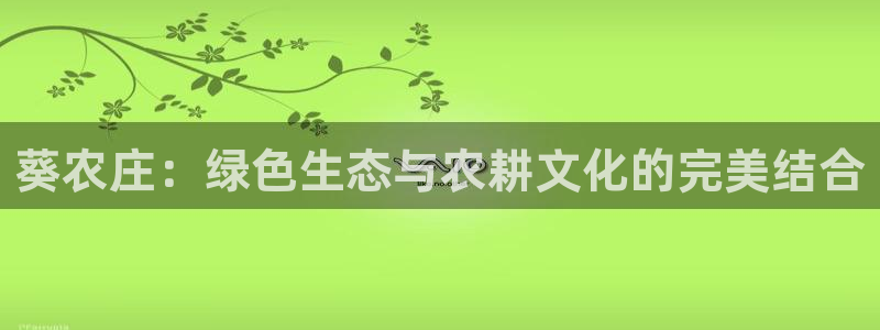 天辰娱乐维护