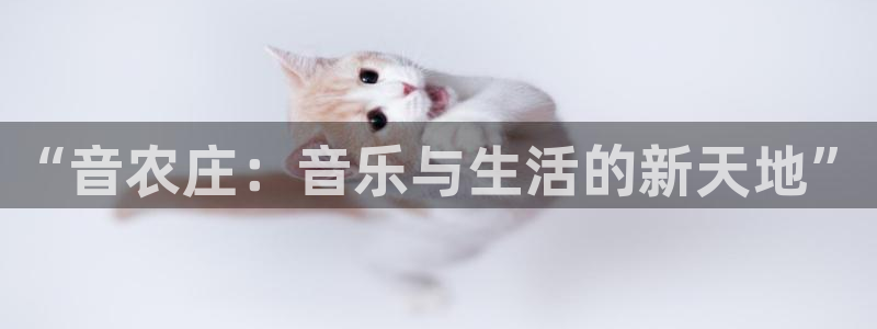 天辰娱乐61116