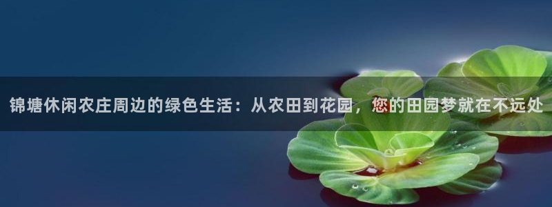 天辰娱乐官方
