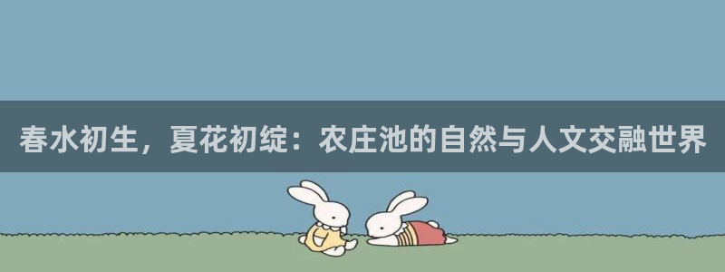 南京天辰娱乐