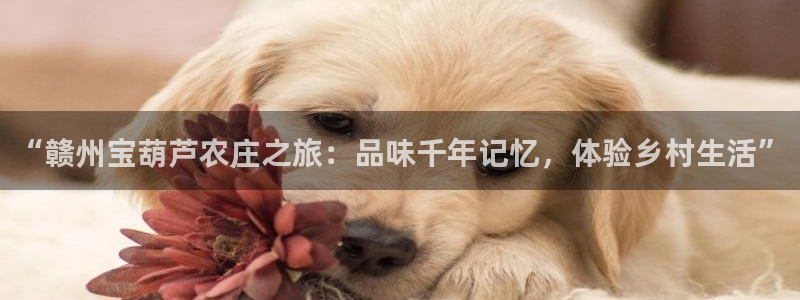 天辰娱乐下载链接
