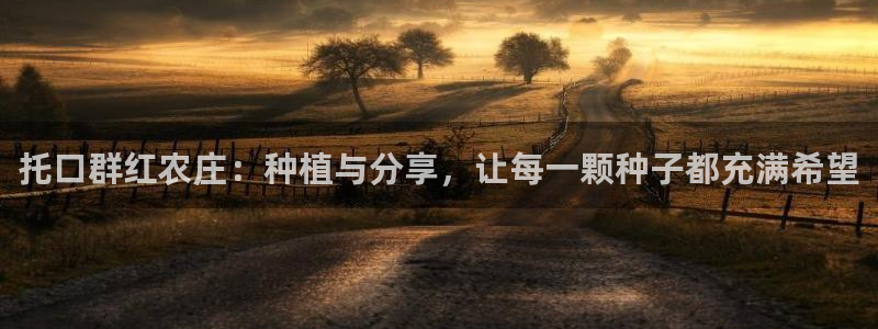 天辰娱乐平台地址