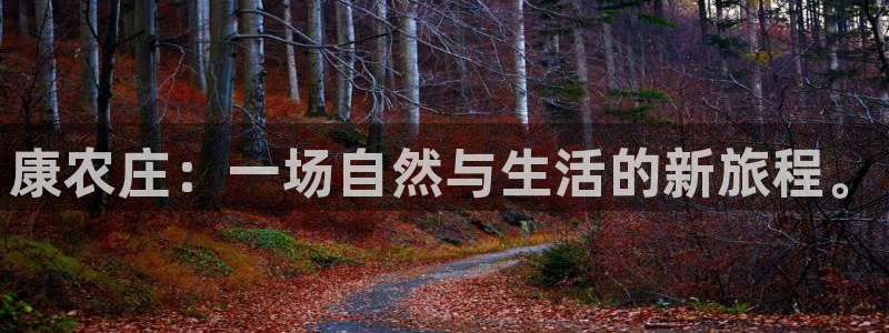 天辰娱乐指尖所