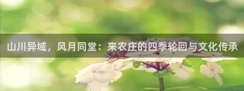 天辰娱乐主页