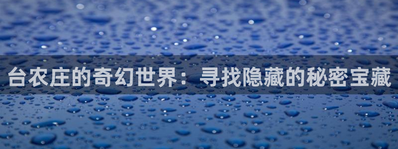 天辰娱乐 qq