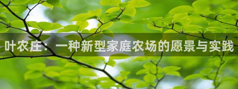 天辰娱乐1996