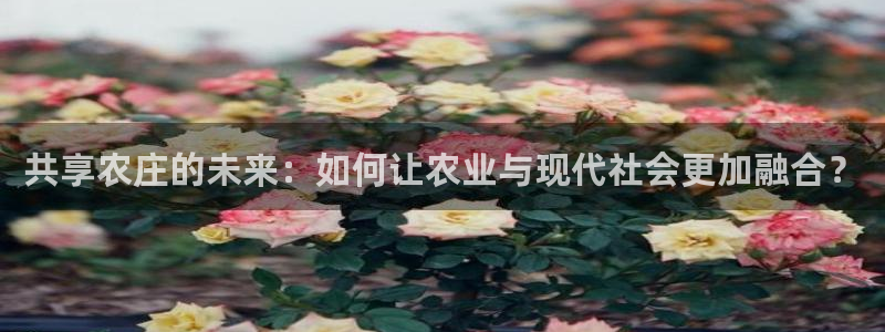 天辰娱乐 39974