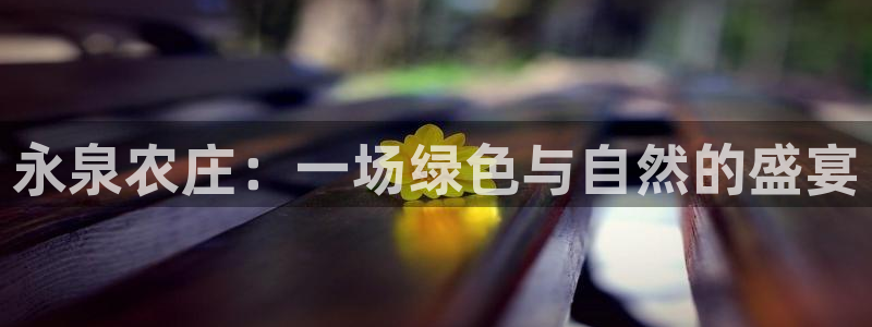 天辰娱乐路线