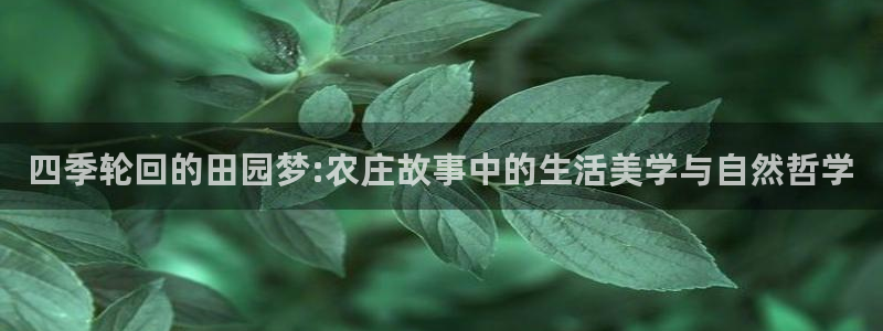 天辰娱乐平台安全吗