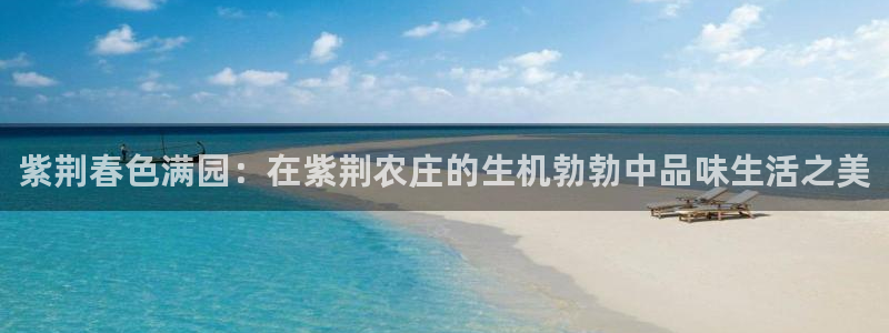 天辰娱乐主管