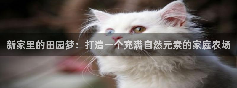 天辰说娱乐