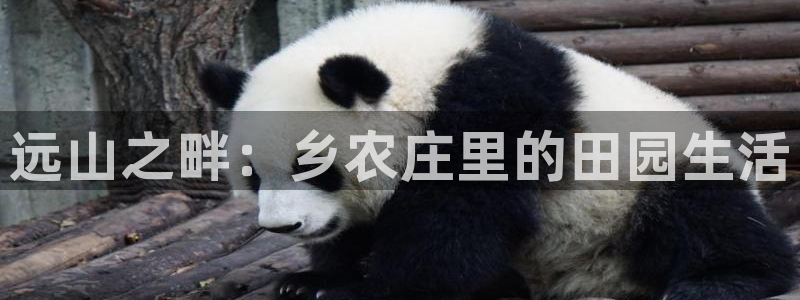 天辰娱乐维护