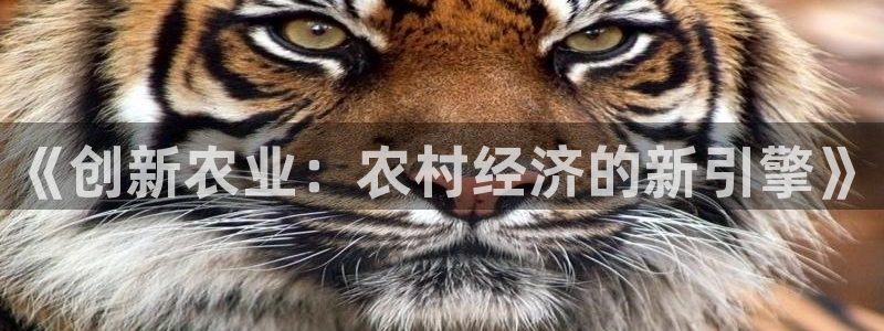 天辰娱乐所