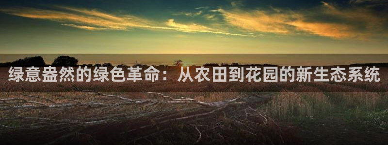 天辰娱乐 39974