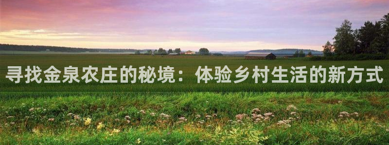 天辰娱乐输了
