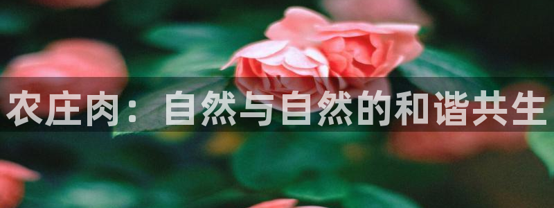 天辰娱乐1980