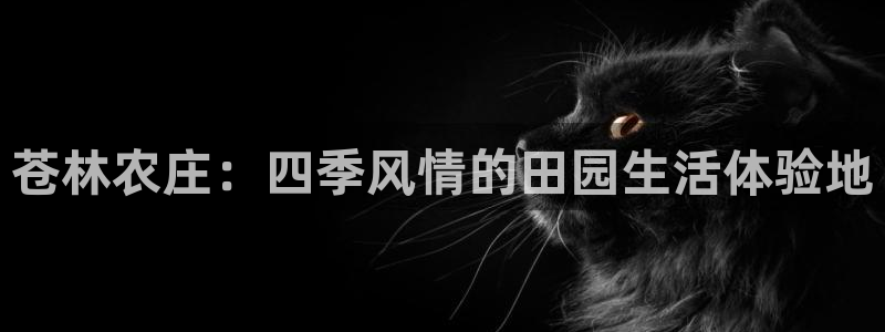 天辰娱乐主页
