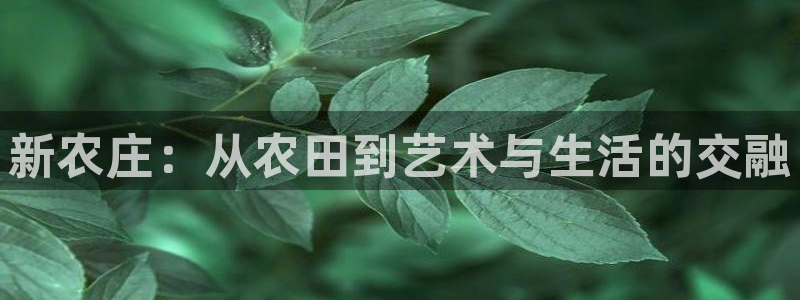 天辰娱乐app