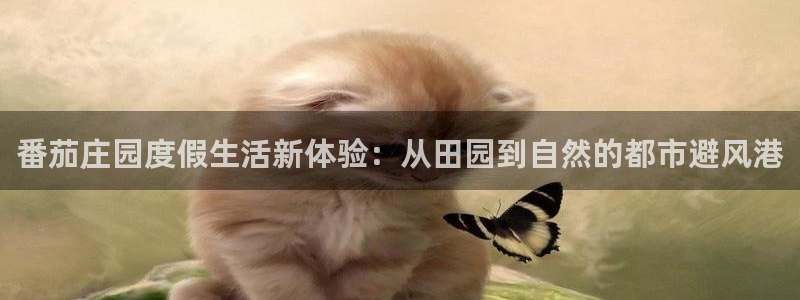 天辰娱乐1980
