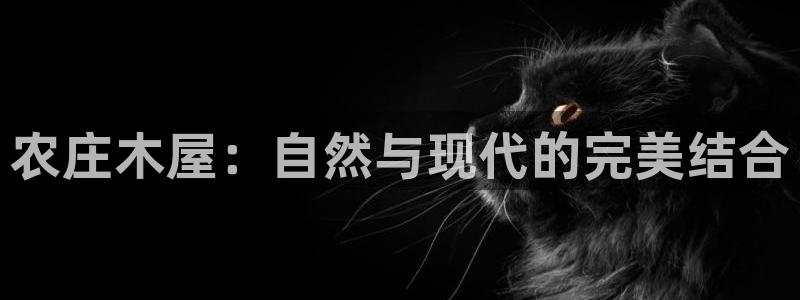 天辰娱乐的网址首页