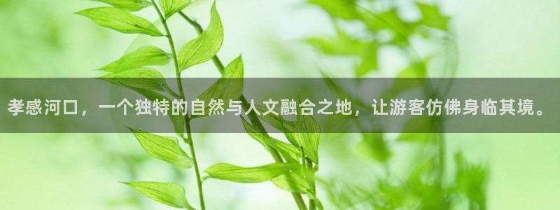 天辰娱乐鱼刺