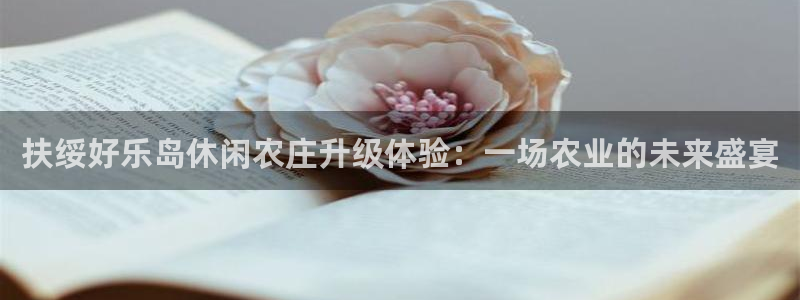 天辰娱乐天辰宝