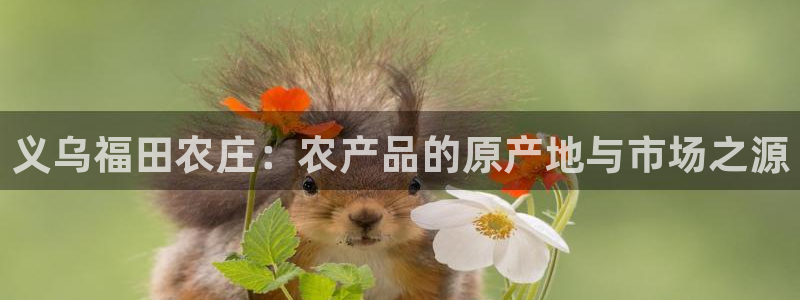 天辰娱乐天辰宝