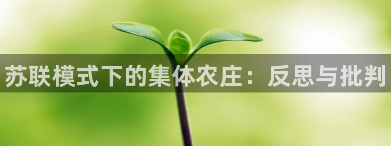天辰娱乐指定