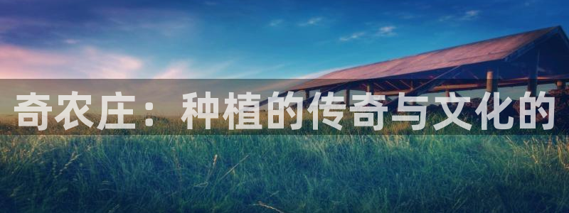 天辰娱乐直属