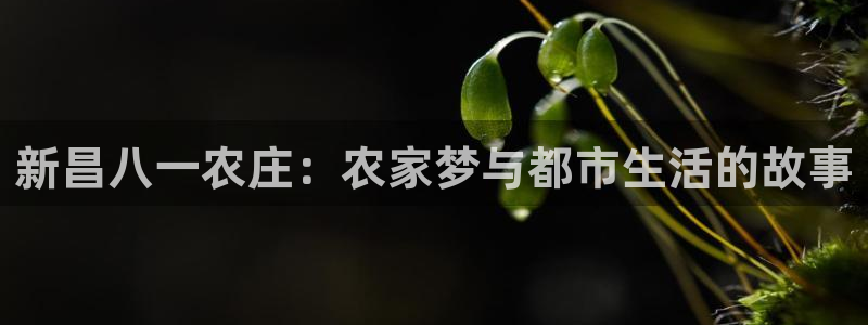 天辰娱乐白屏