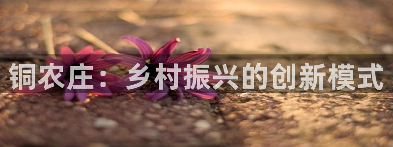 天辰娱乐娱乐
