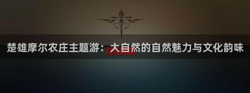 天辰娱乐注册登录