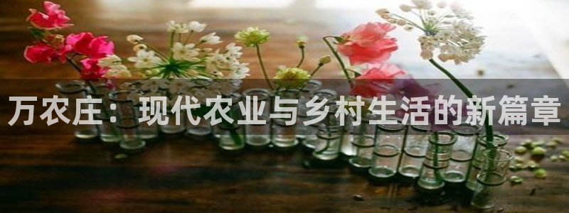 天辰娱乐软件