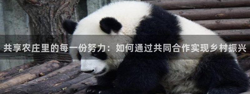 天辰娱乐代理